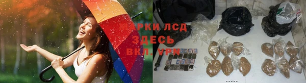 молекула духа Абинск