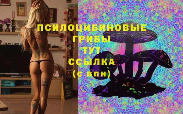 спиды Абаза