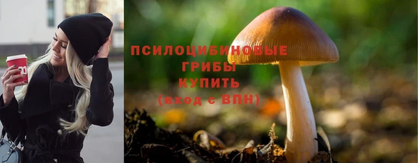 молекула духа Абинск