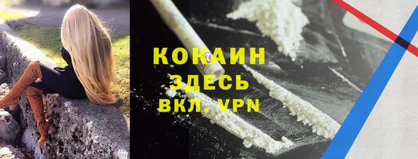 крисы Новозыбков