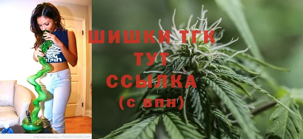 спиды Абаза