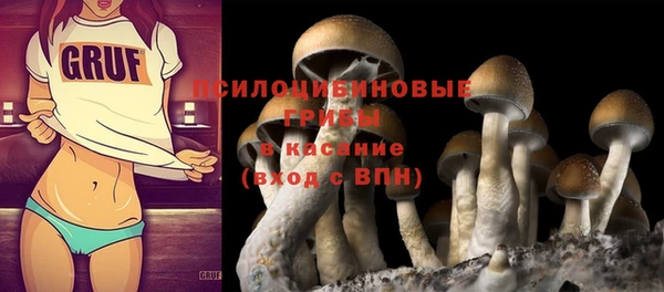 молекула духа Абинск